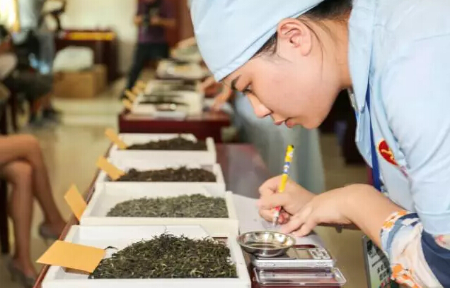2016年英德茶行业职业技能大赛评茶比赛