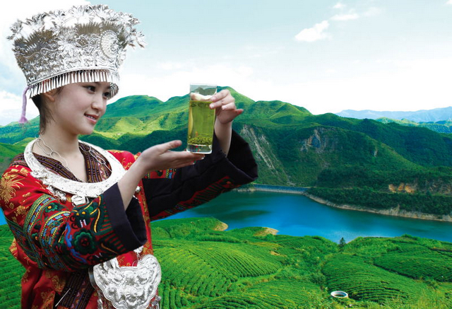 2016都匀毛尖(国际)茶人会在黔南州开幕
